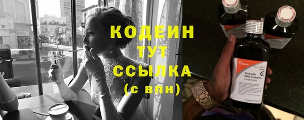 дживик Анжеро-Судженск