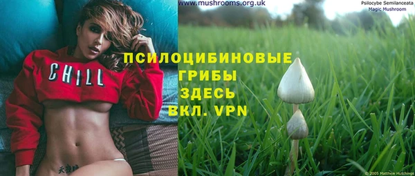 МДПВ Наволоки