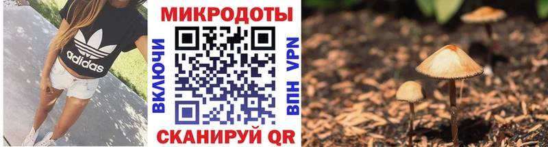 Галлюциногенные грибы Magic Shrooms Правдинск